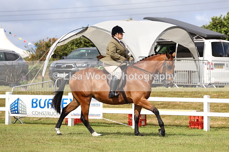 3E7A9312 - Class 4: Rising Star M/H Hunter