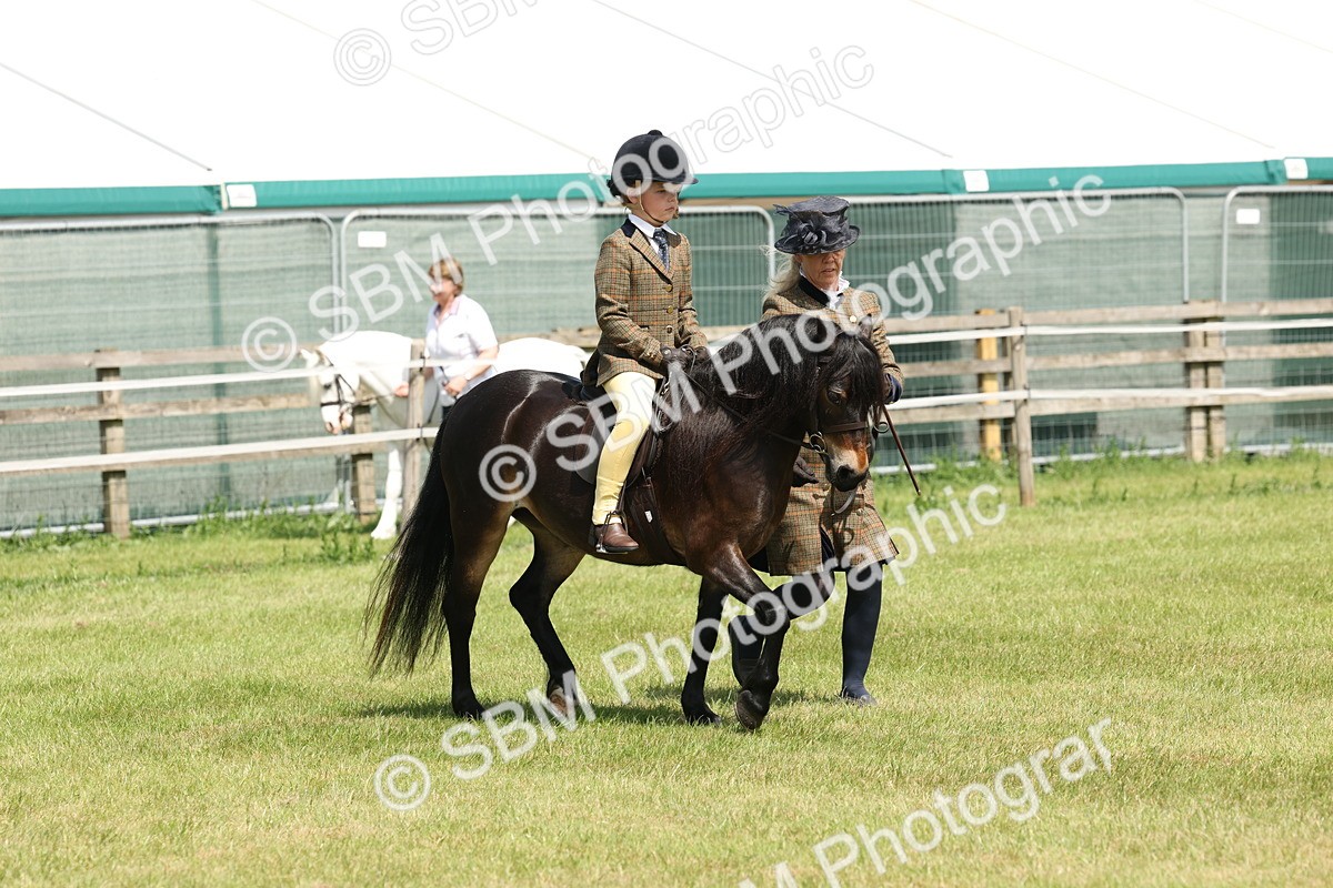 SBM_05252 - Class 24-25 - Mountain & Moorland In Hand Lead Rein and First Ridden