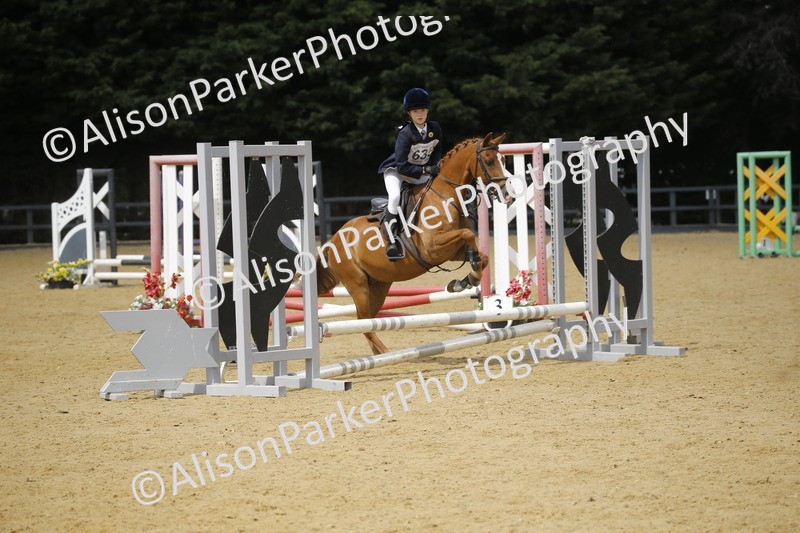 20250622-4008 - 50cm