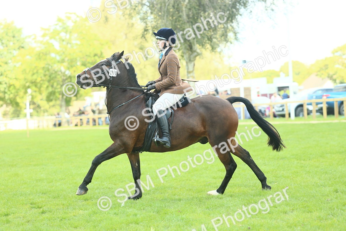 SBM_43019 - S30 - M&M Working hunter Pony