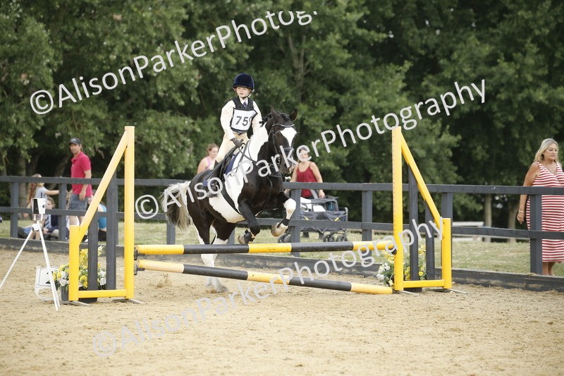 20250622-6342 - 60cm