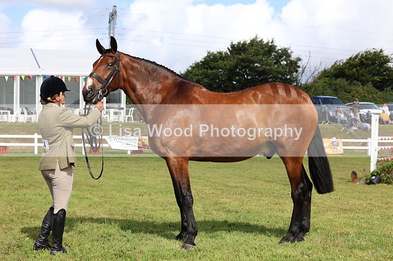 3E7A9498 - Class 4: Rising Star M/H Hunter