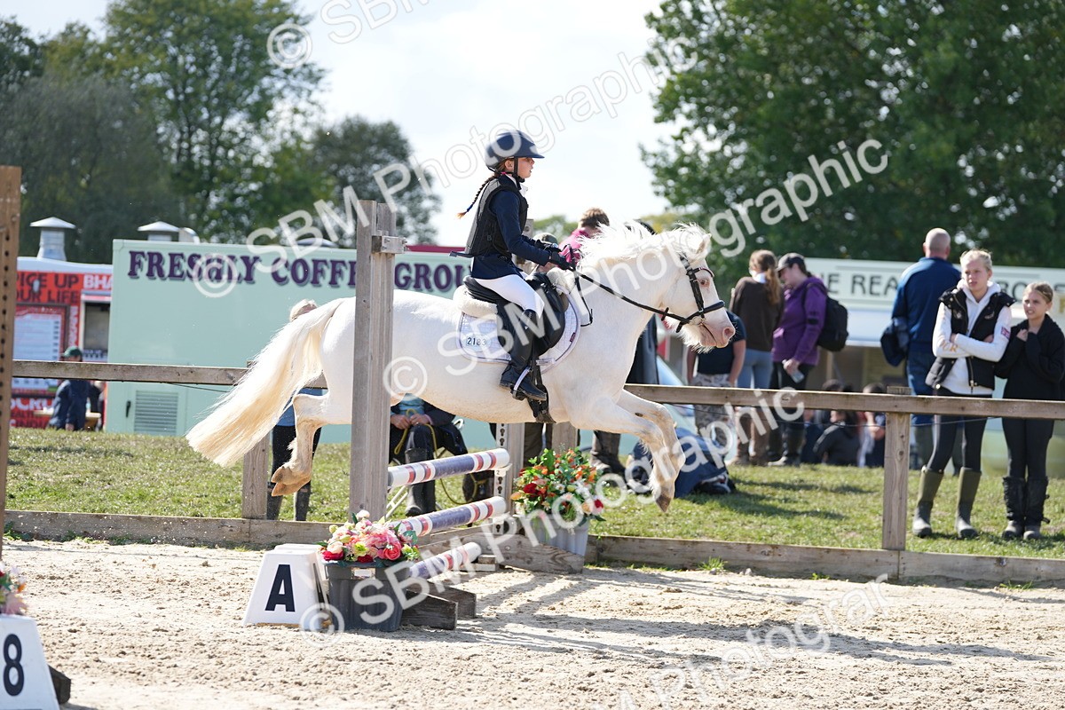 SBM_46552 - J7 - Junior Pony 60cm Championship