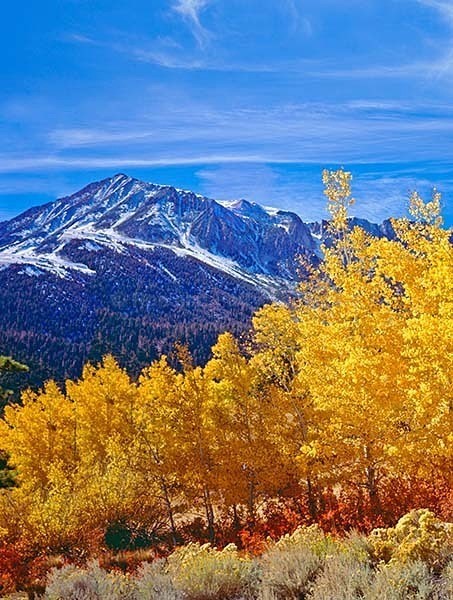 Istock #21170162 - Autumn Colors all over North America