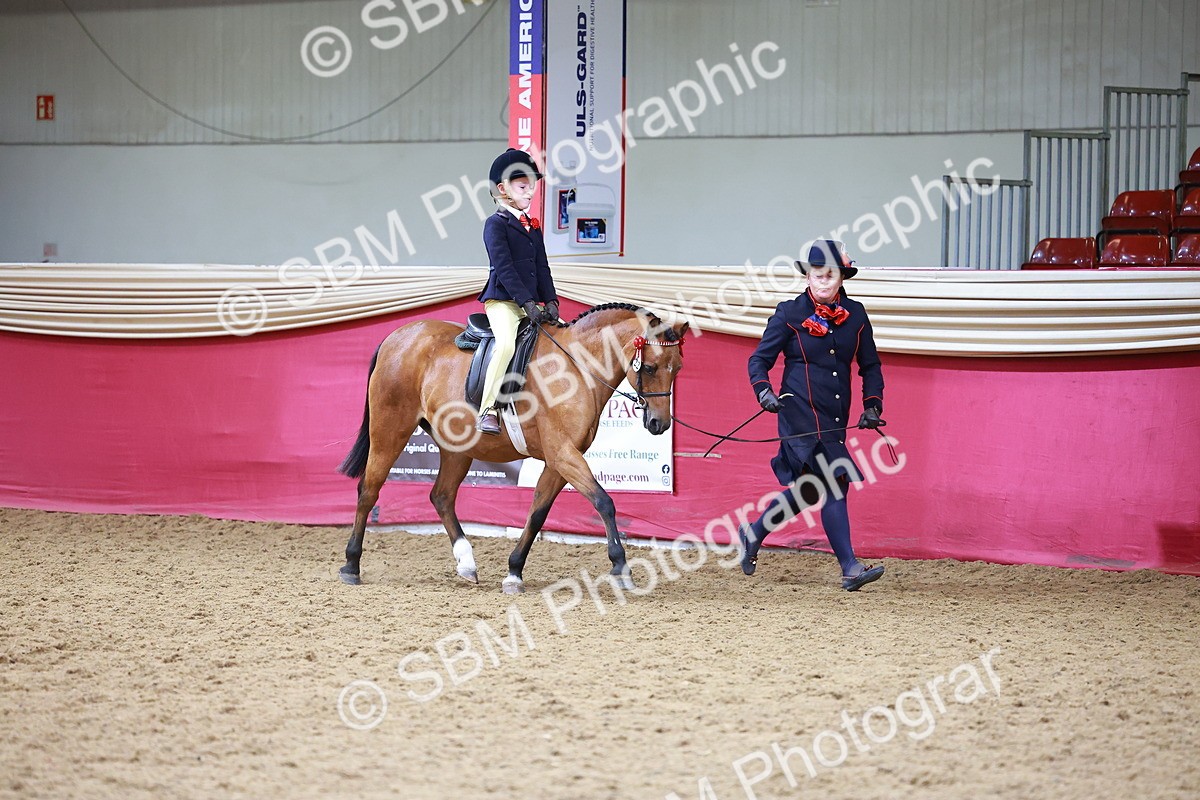 SBM_06388 - Regional Ridden Championship