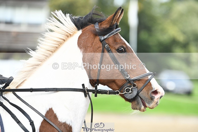 231001-150904-03122 - Cls 3 90cm