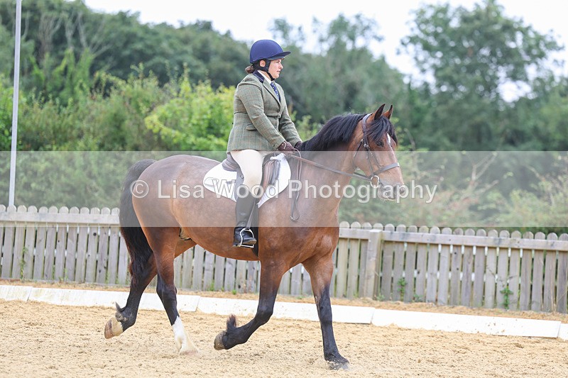 3E7A5191 - Class 2: Intro 4 2024 section B