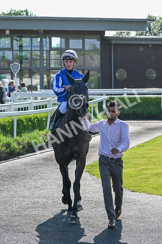 100625-Race 1-Desert Jungle-6420 - Race 1