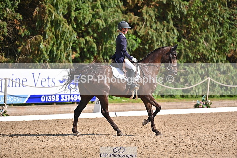 250523A-164000-08126 - B-379-Kelli.Frewin-HIDDEN.GOLD