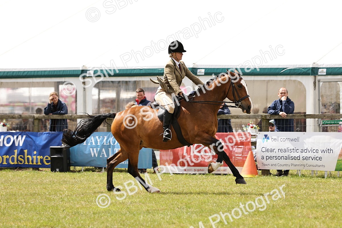 SBM_14574 - Class 88-89 - LIHS BSHA Rising Star of Ridden Hunter Type