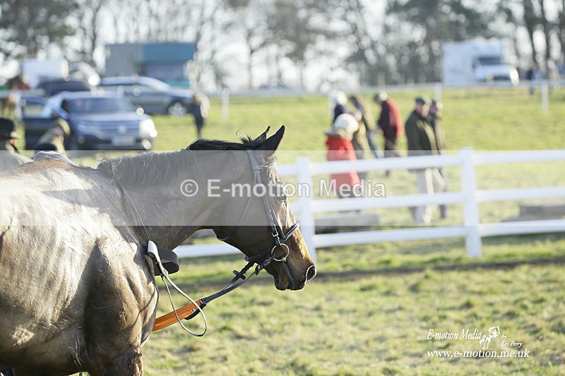 PtP 270222 651 - South & West Wilts Point-to-Point Larkhill 27/02/22