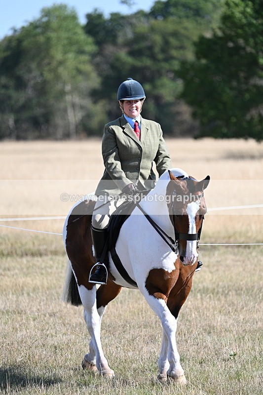 WJ7_3058 - Class 8 Ridden Tack & Turnout