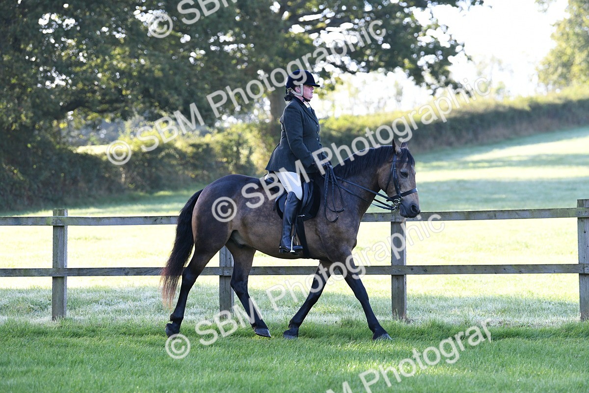 SBM_33991 - S16 - Condition & Turnout - Ridden