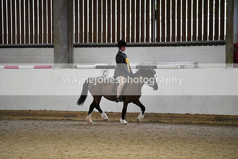 WJ5_7399 - Class 11 Ridden PC - RC Pony