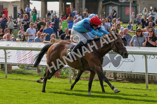 yr05092021rP-49 - Pony Races 138 and 148 cm