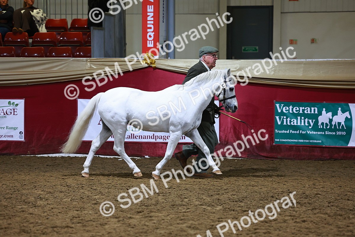 SBM_15230 - Class P - M&M Champ