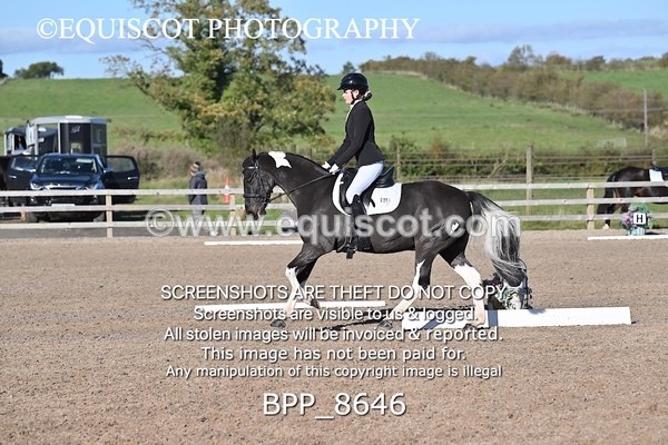BPP_8646 - LONG ARENA