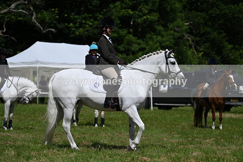 WJ7_1806 - Class 9 Pony Club Pony