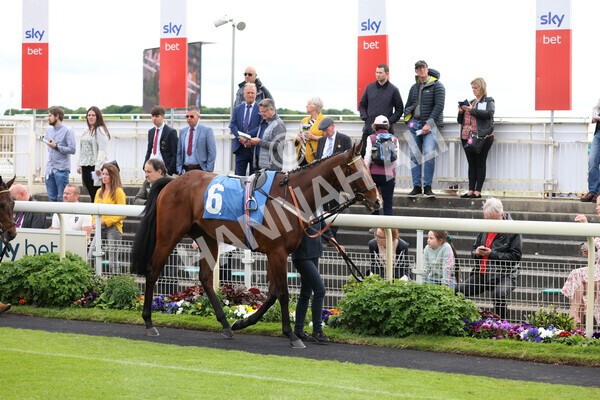 yr22052022r3-5 - Race 3: 4:35pm Sky Bet Sunday Series Dash