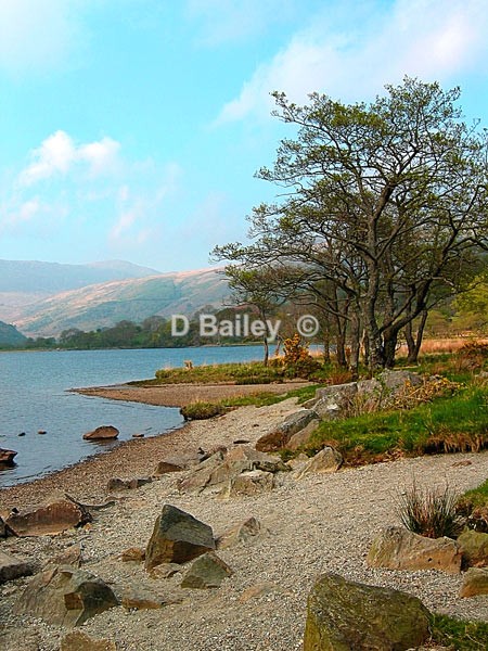 Lakeside-Llyn-Gwynant - Mixture A4