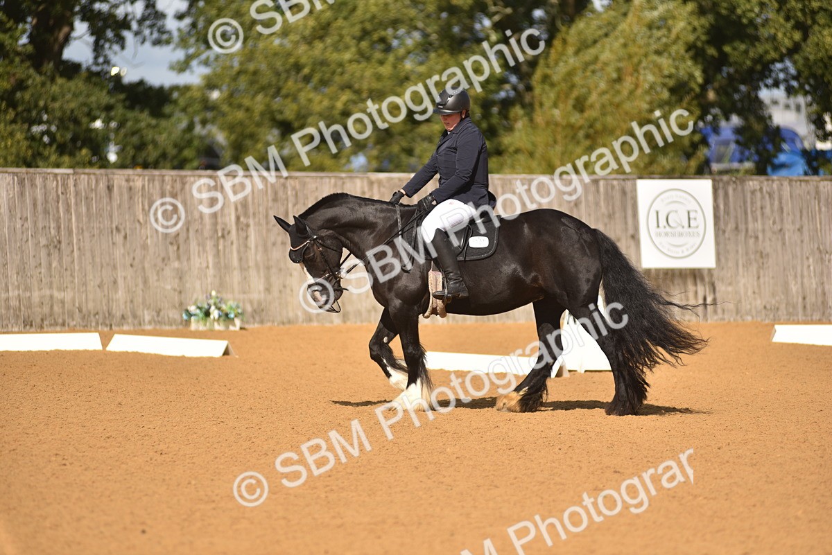 SBM_03018 - D4 - Small Tour Championship Intro 4