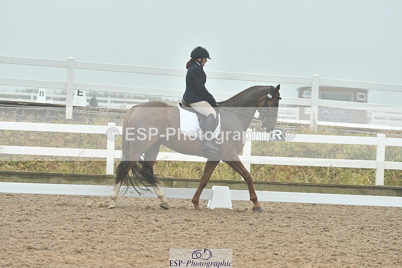 230708A-150700-02998 - Elementary 43