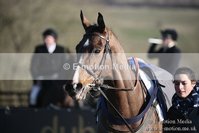 PtP 240218 625 - Vine & Craven Hunt Point-to-Point Barbury racecourse 24/02/18