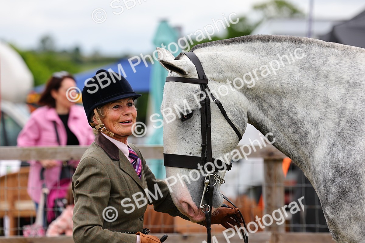 SBM_02544 - Class 9-11 Side Saddle including LIHS Rising Star Ladies Show Horse