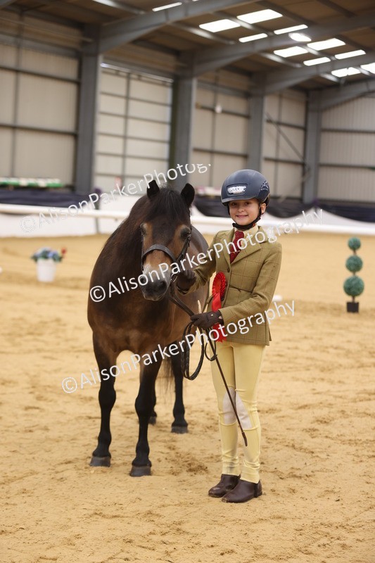 20260913-1146 - Class 110 - Bred In Other In Hand