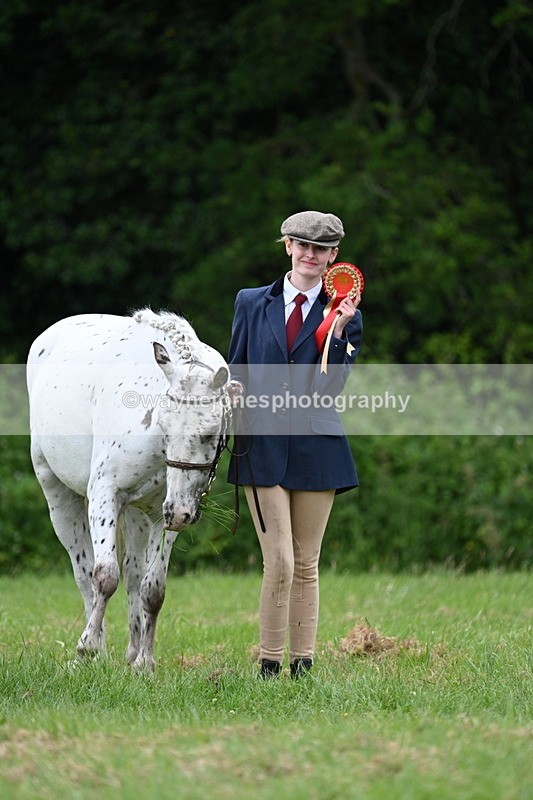 WJ7_4539 - Class 14B Prettiest Mare