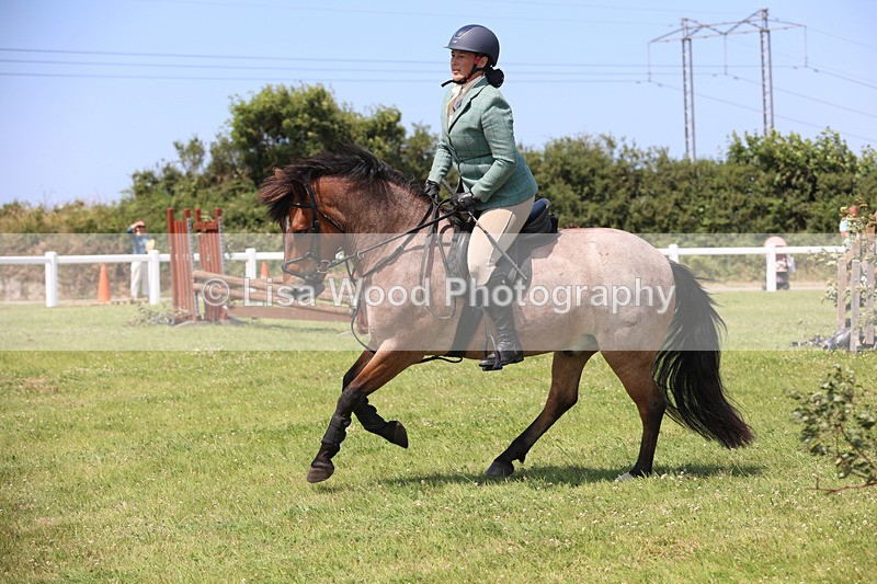 JPP_3147 - Class 22: Working Hunter 70cm