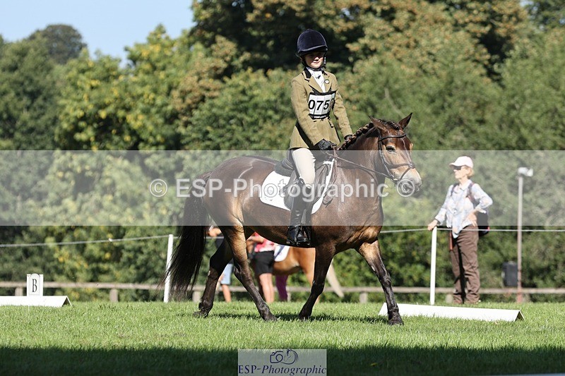 250823A-103013-27718 - Arena D