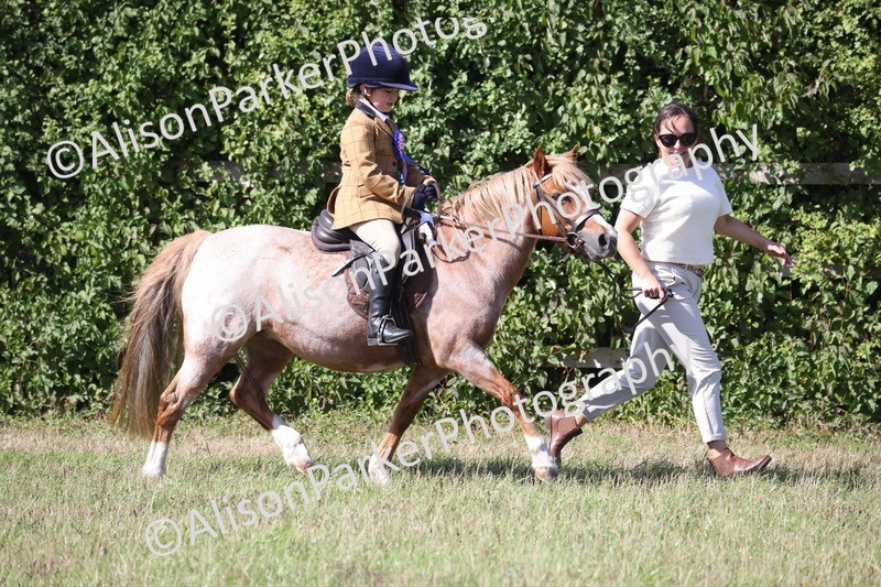 20260906-2353 - Class 16 - Family Pony