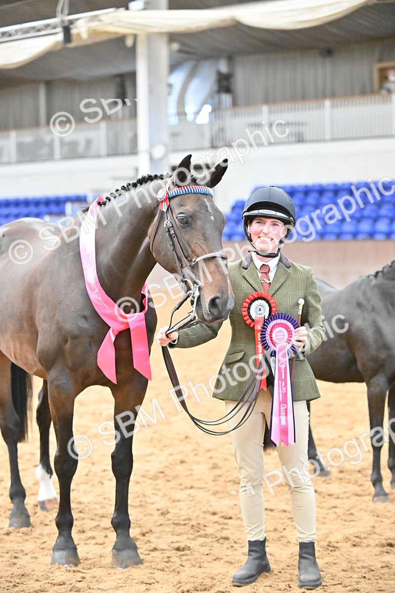 SBM_000742 - Class 14 - SSADL In Hand Championships