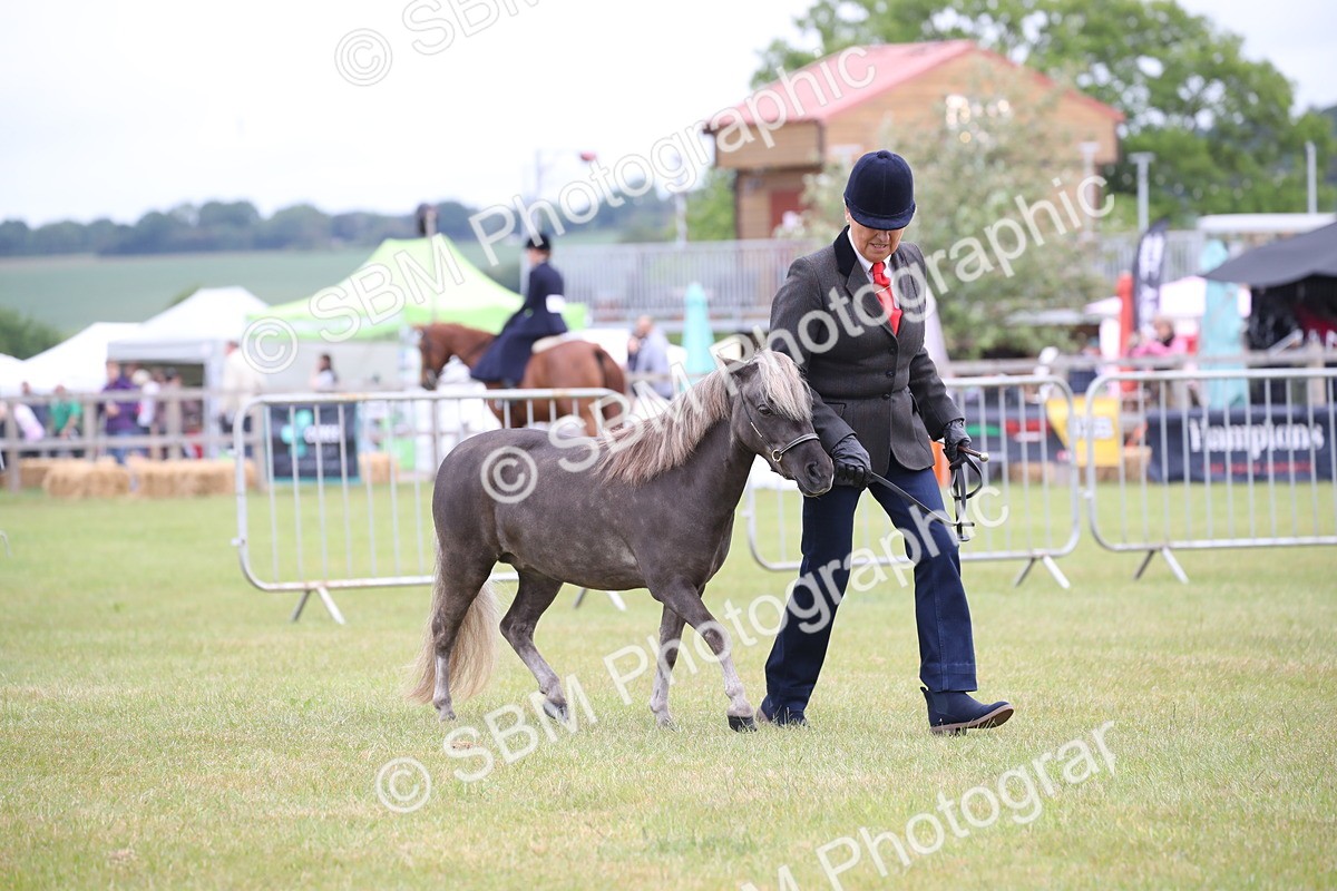 SBM_03941 - Class 23-25 - British Miniature Horse of the Year
