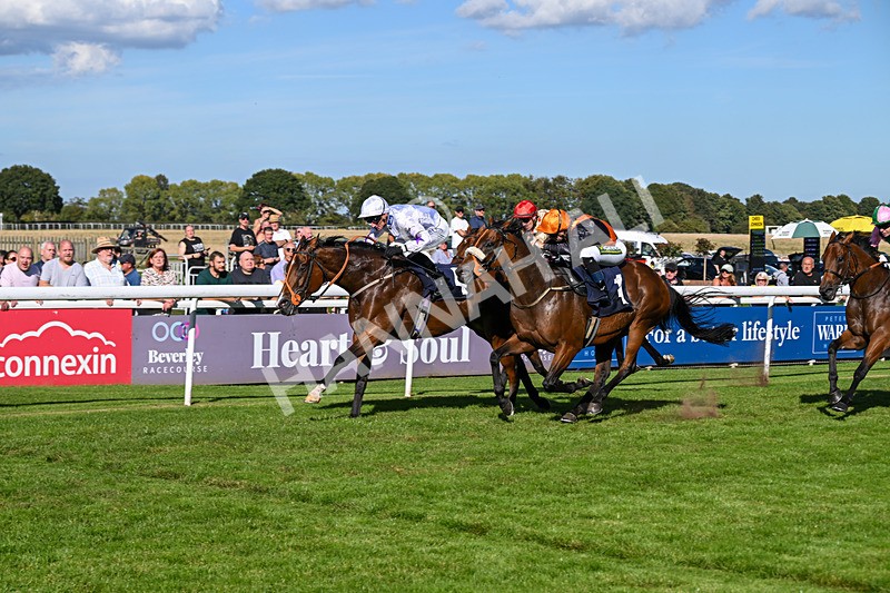 220926-Race 4-Toca Madera-4019 - Race 4 3.15pm Eddie And Violet Smith Conditions Stakes