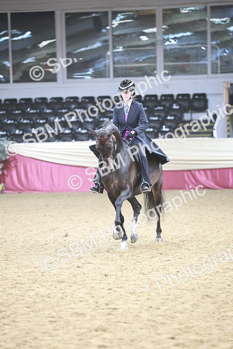 SBM_03362 - Class 6A Area Ridden Pre-Vet