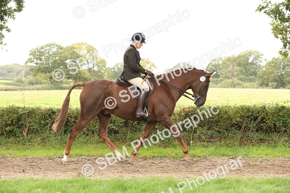 SBM_66278 - S66 - Hunter Ridden