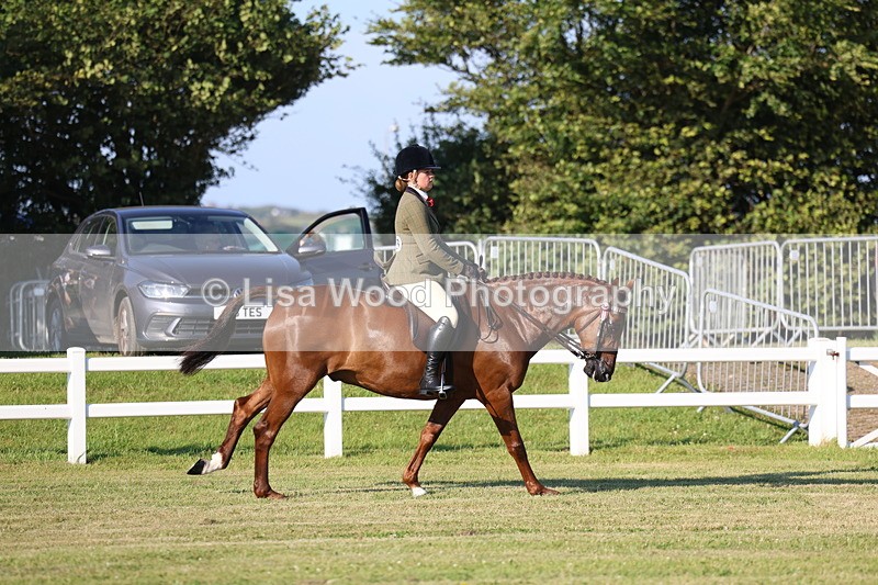3E7A4957 - Class 1: Rising Star Small Hack/Riding Horses