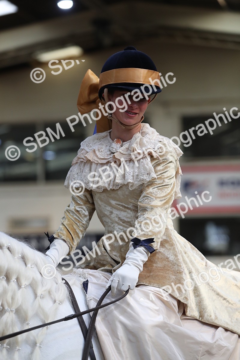 SBM_11256 - Class 104 Ridden Costume - Astride Junior
