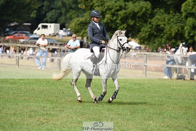 230617-095626-01731 - Cls 15 British Novice & 80cm Open