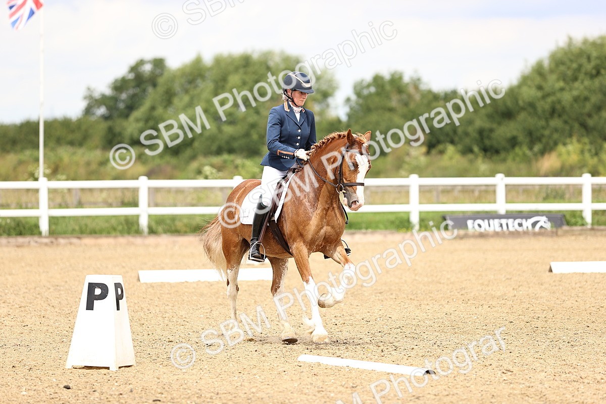 SBM_000922 - Class 4 - Novice 5
