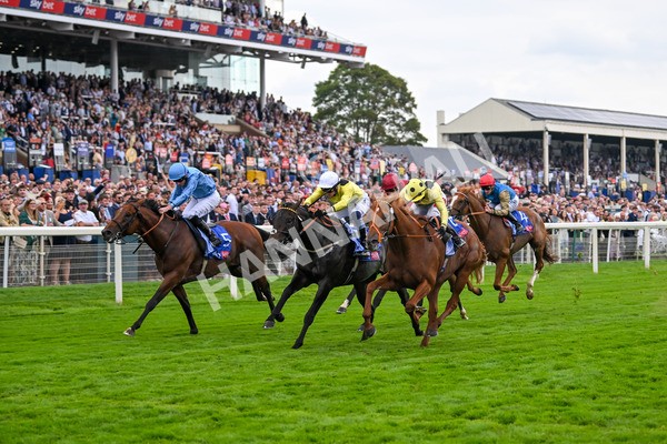 230825-Race 1-King Of Cities-9579 - Race 1 1.50pm Sky Bet Strensall Stakes