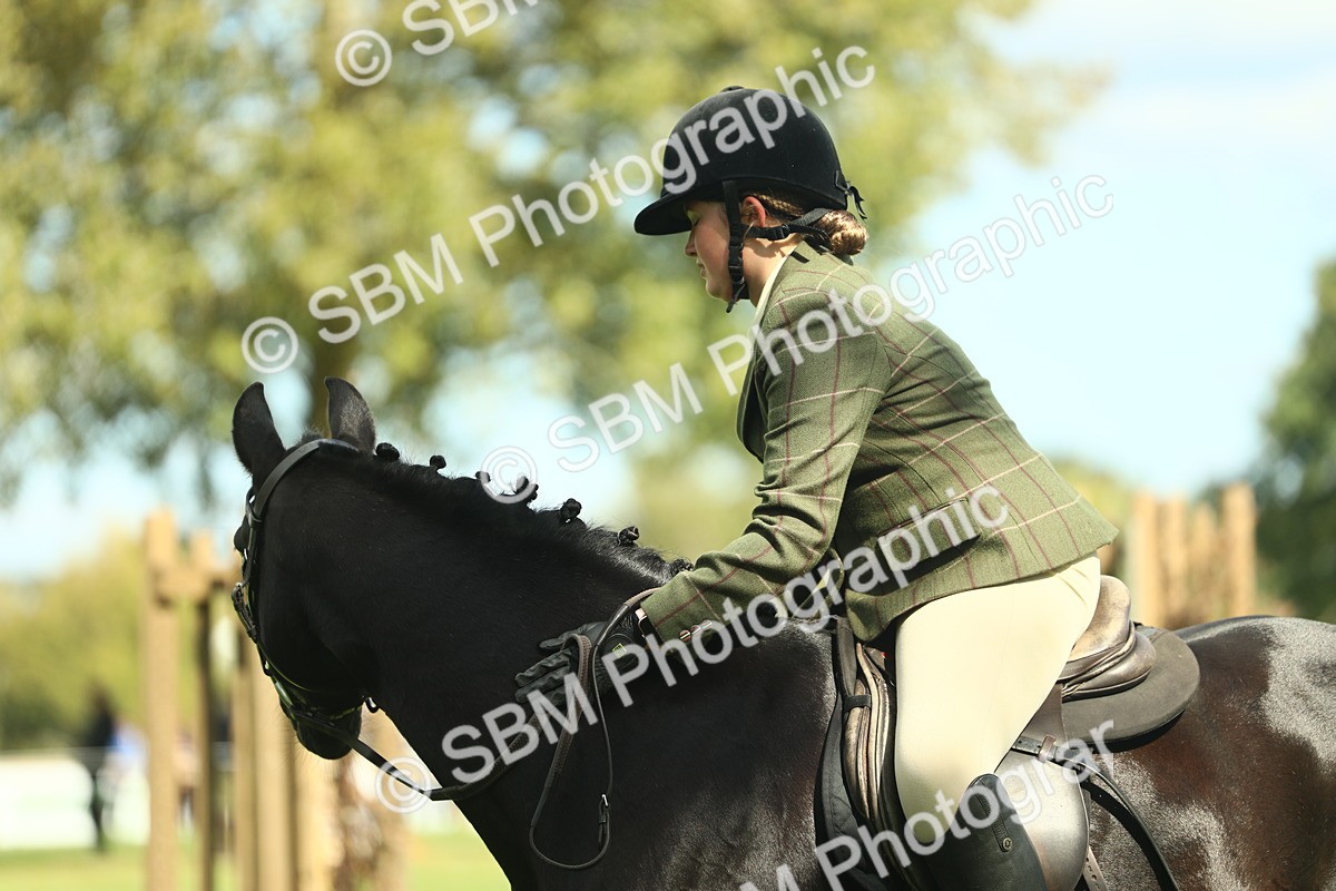 SBM_42080 - S29 - Novice & Newcomers Working Hunter Pony