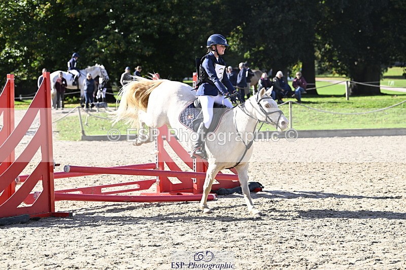 251005A-145059-04621 - Cls 09 Nov 80-85cm