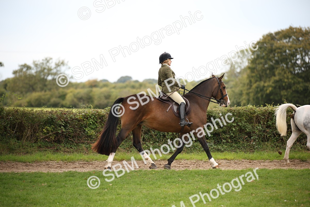 SBM_72352 - S67 - Show Cob Ridden