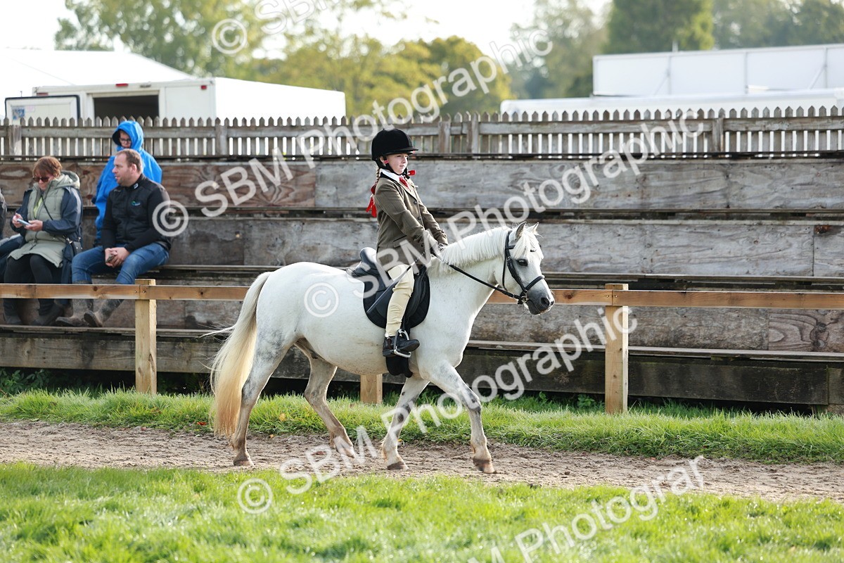 SBM_56303 - S39 - Starters In Hand Showing
