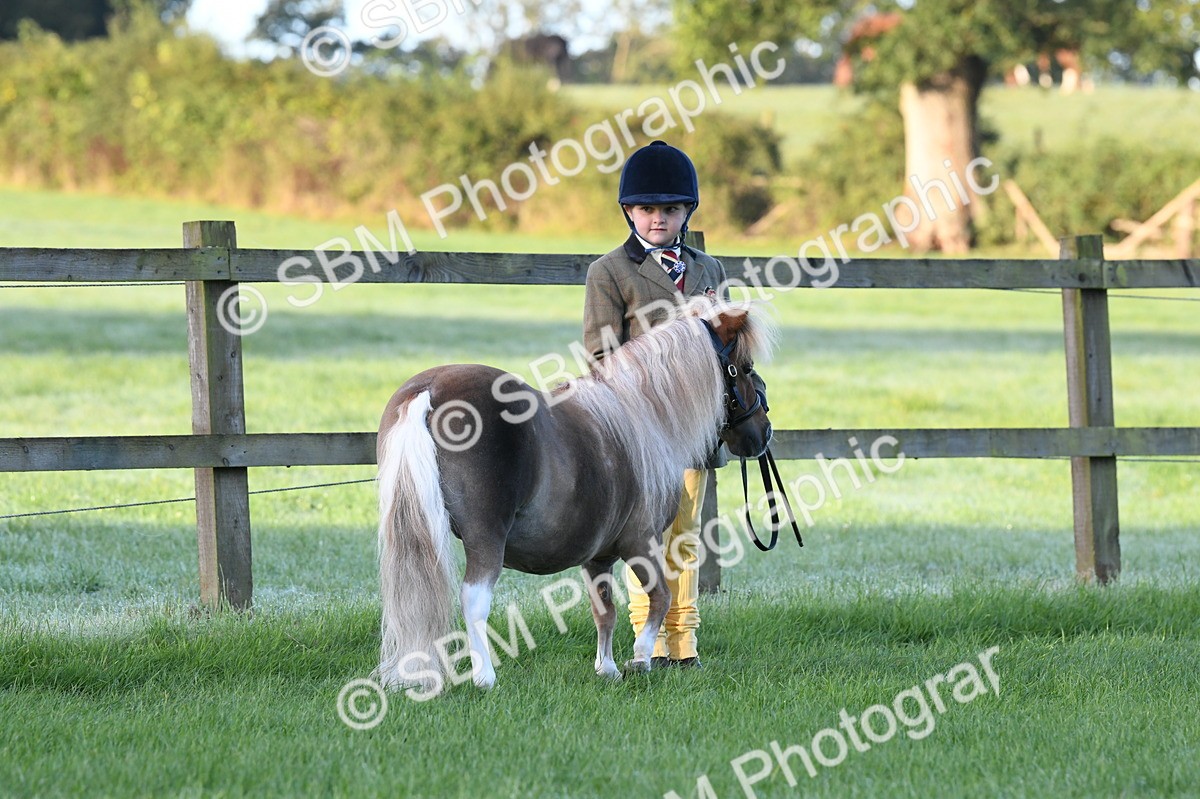 SBM_32611 - S15 - Condition & Turnout In Hand