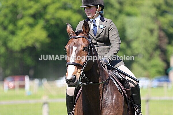IMG_4441 - Working Hunter