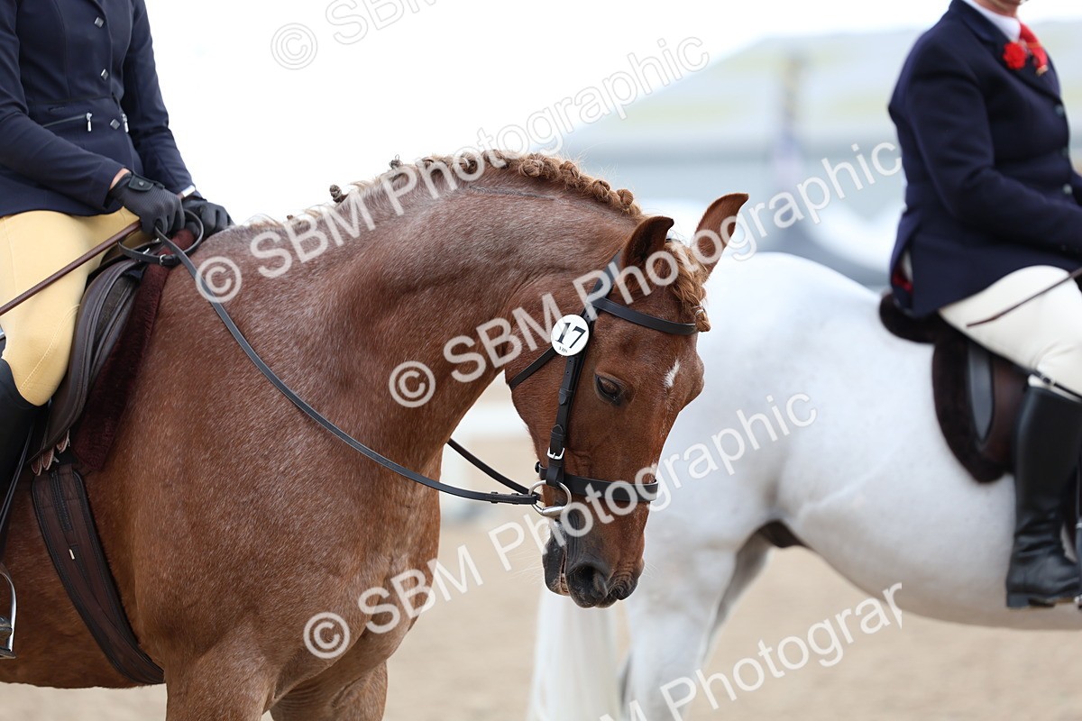 SBM_10139 - Class 304 - Ridden Part Bred Horse Pony